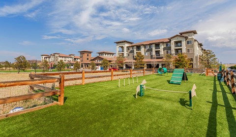 Outdoor Dog Park With Several Obstacle Course Items and a Fenced Perimeter at Terracina, Broomfield, CO 80020