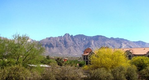 A house with a red roof is surrounded by green trees and bushes with a mountain in the background.