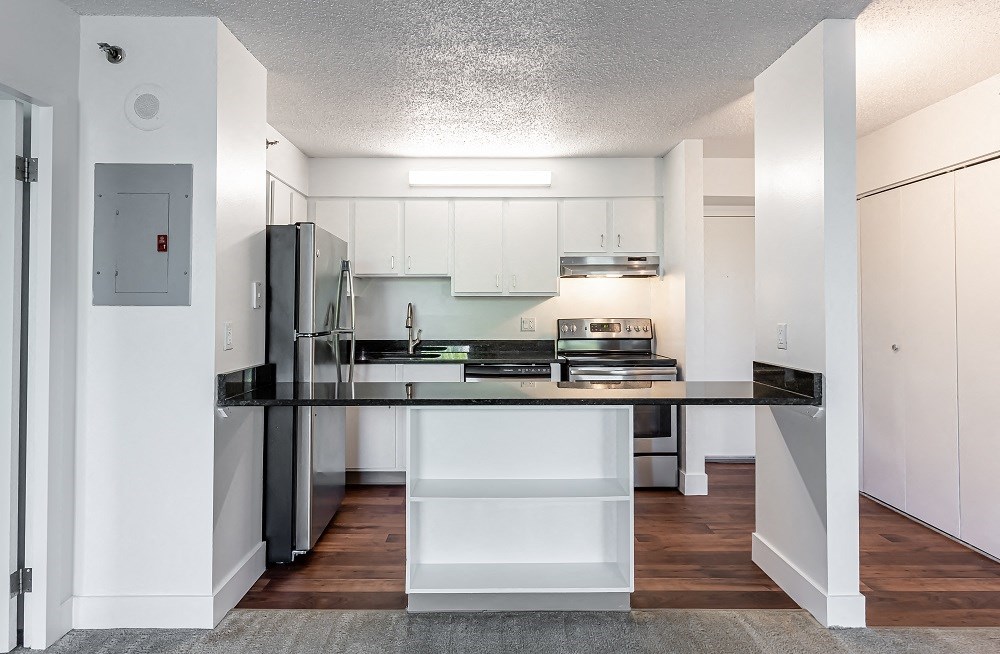 Luxury Apartment - Kitchen