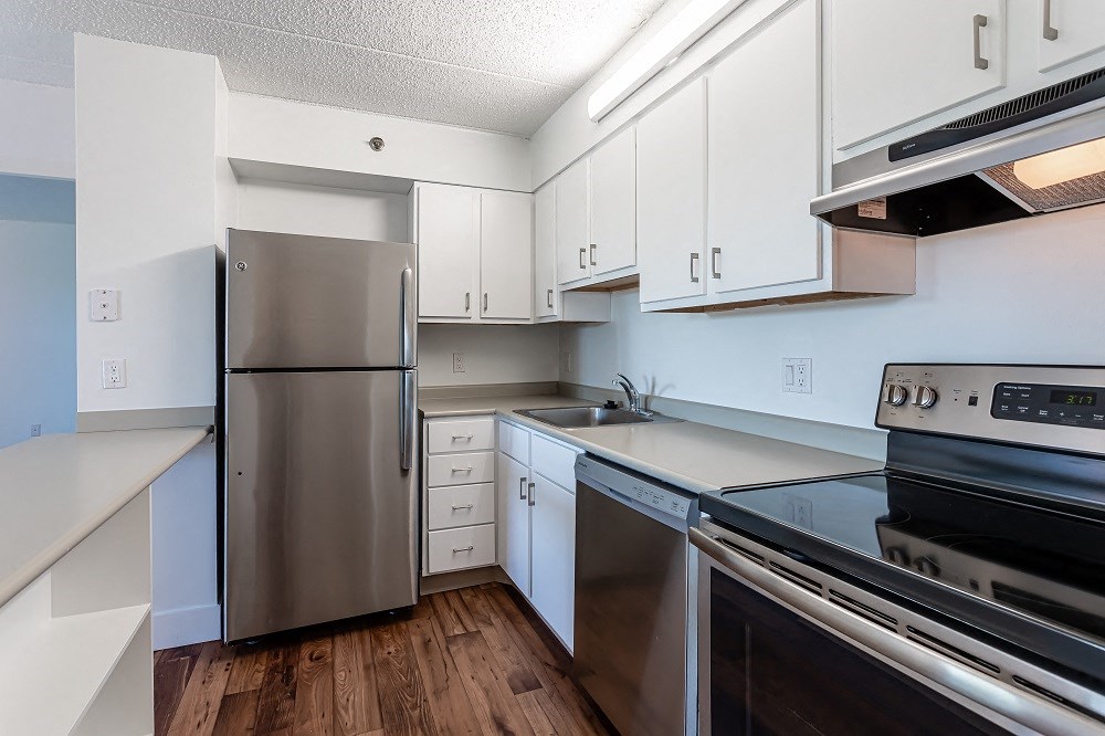 Renovated Apartment - Kitchen