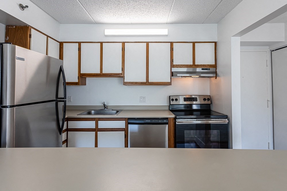Standard Apartment -  Kitchen