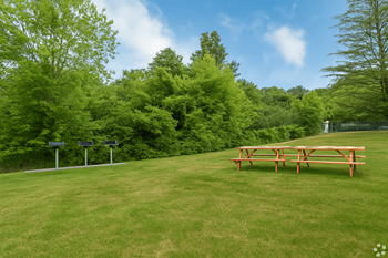 A picnic table sits in a grassy field with trees in the background.
