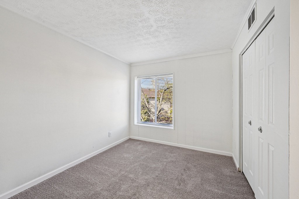 A room with a carpeted floor and a window showing trees outside.