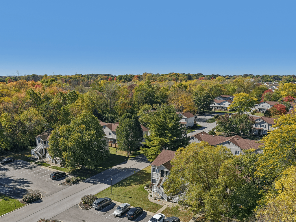 A suburban neighborhood with houses and trees in autumn colors.