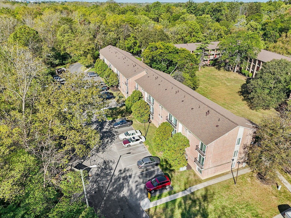 A parking lot with cars and a building in the background.