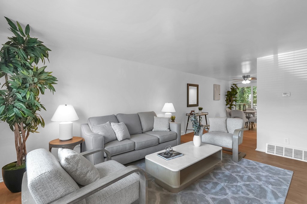 A living room with a grey sofa and a glass coffee table.