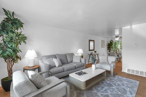 A living room with a grey sofa and a glass coffee table.
