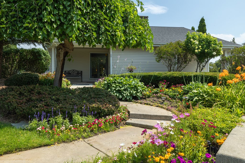 a garden in front of a house