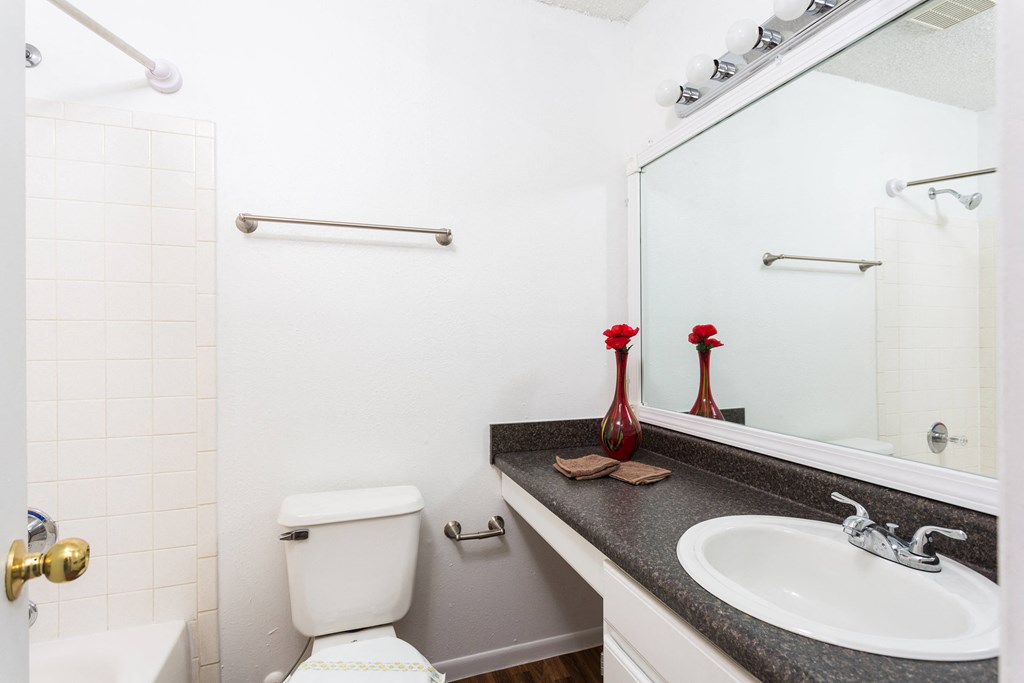 A white toilet sits next to a sink in a bathroom.