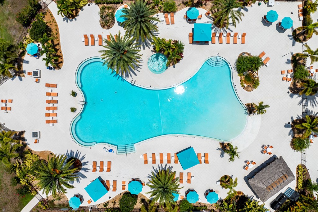 an overhead view of a swimming pool with palm trees and umbrellas