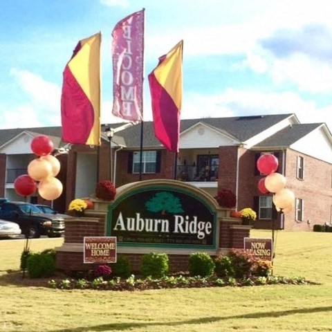 with balloons and flags in front of the building
