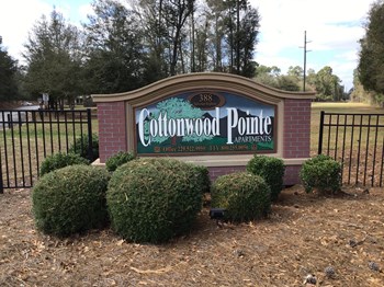 Cottonwood - Photo Gallery 2