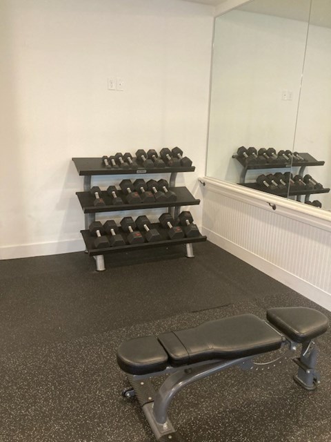 A gym room with a bench, weights and mirror.