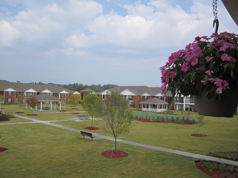 A hanging flower pot with pink flowers is in the foreground of a grassy area with a building in the background.