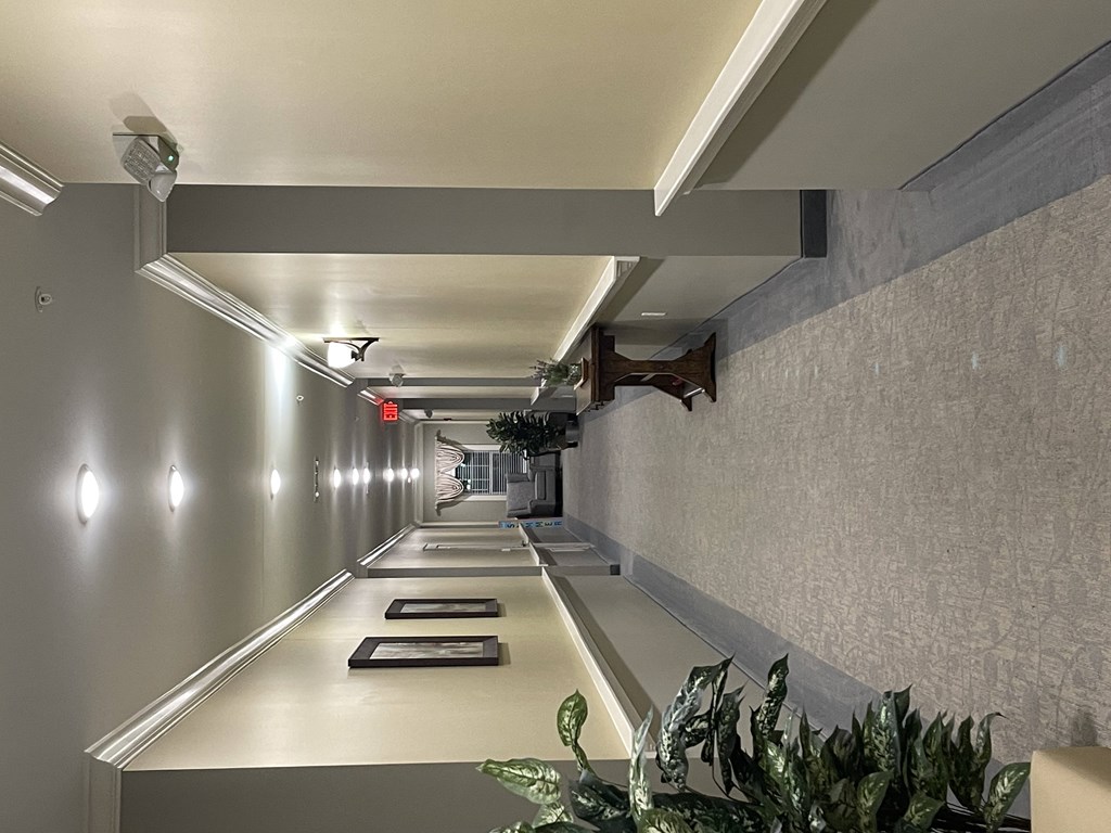 A long hallway with a green plant in the foreground.