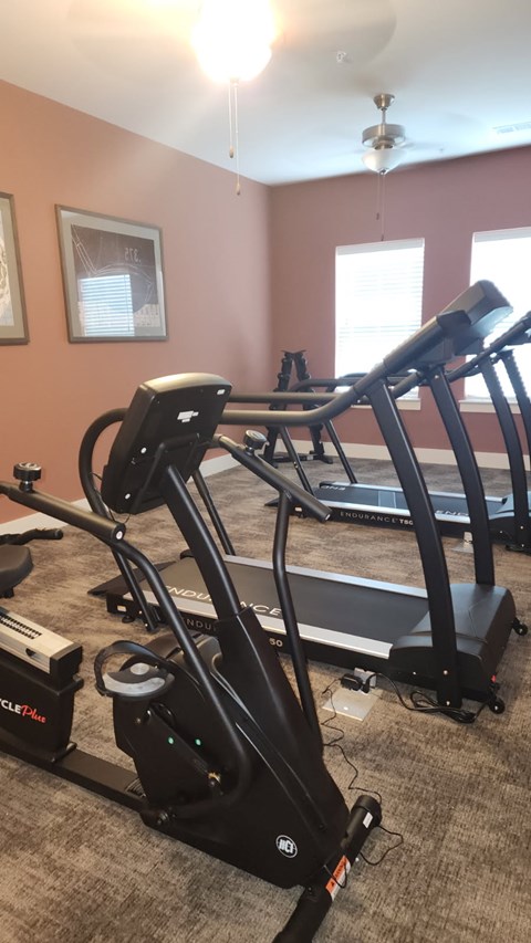 A home gym with a treadmill, elliptical trainer, and a stationary bike.