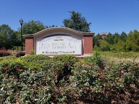 a sign for the magic wonderful village in front of bushes and trees