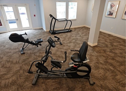 A gym with a treadmill, a stationary bike and a rowing machine.