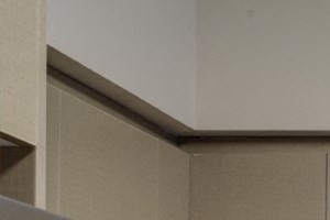252 Phillip St Studio Apartment, Condo, Student for Rent - Photo Gallery 3