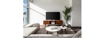 A living room with a grey sofa, a coffee table, a TV, and a plant.