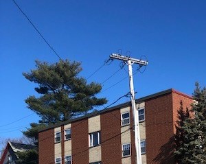 Hyde Park Apartments For Rent Boston Ma Rentcafe