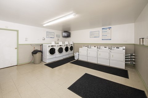 A laundromat with washers and dryers lined up on the wall.