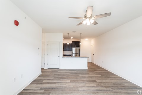 2 Bed 2 Bath - Living Room and Kitchen