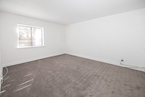 A room with a carpeted floor and a window.