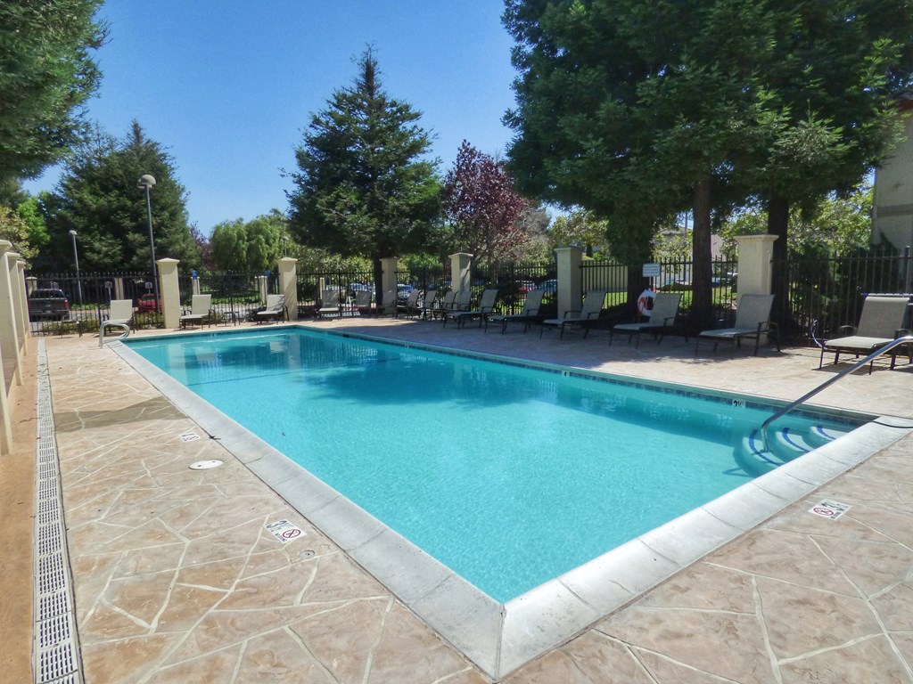 a swimming pool with chairs and trees around it