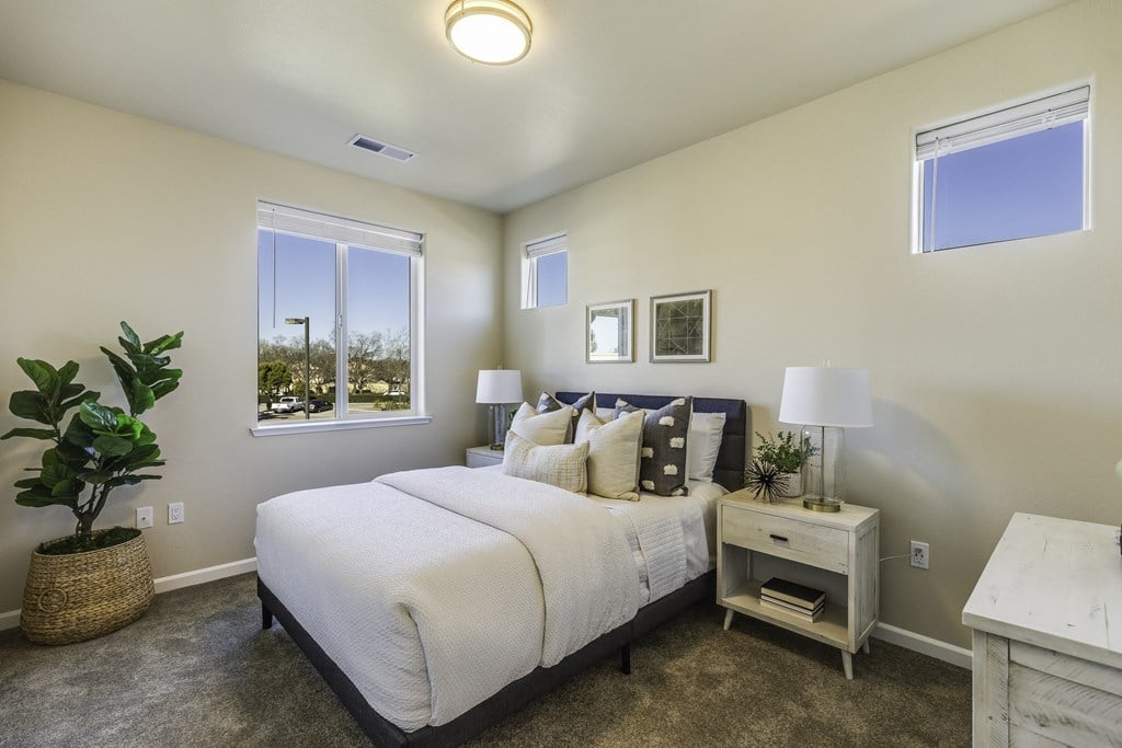 A bedroom with a large bed, nightstand, and a plant.