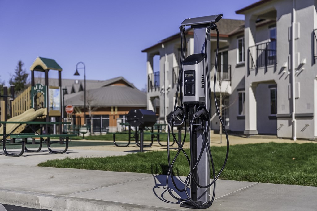 A charging station for electric vehicles is located in a park.