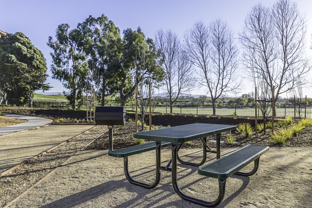 A picnic table and bench are set up in a park with trees and a fence in the background.