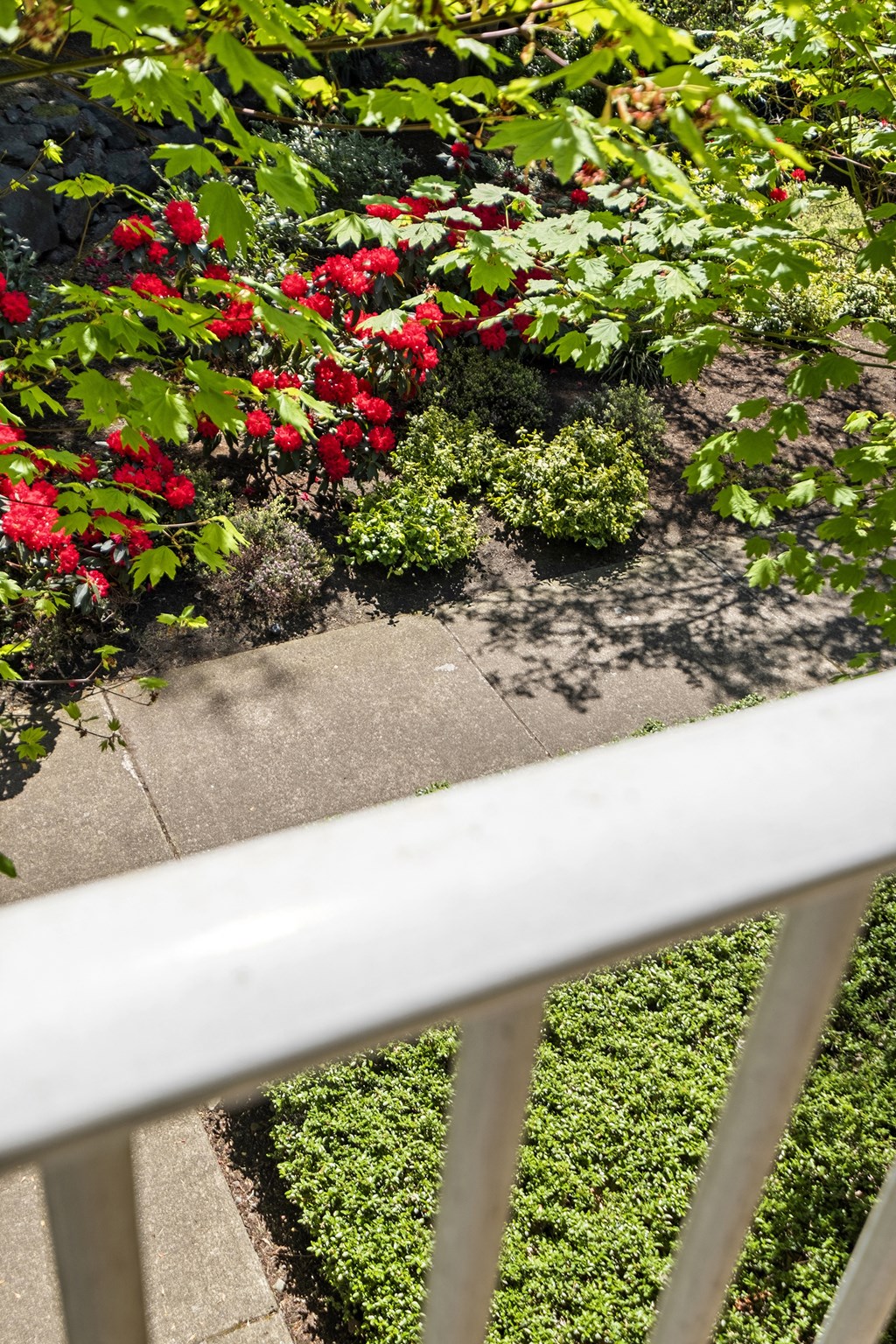 a view of the garden from the balcony at Mill Pond Apartments, Auburn, 98092