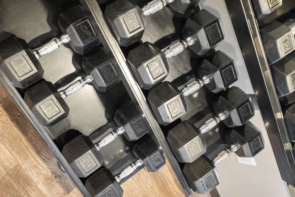 a row of dumbbells in a gym at Mill Pond Apartments, Auburn Washington