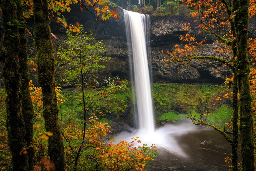 a waterfall in the woods at Monroe Avenue Apartments, Salem, Oregon