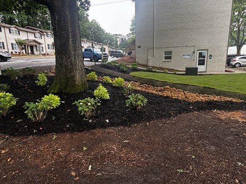 A tree in a flower bed in front of a building at Waverly Manor Townhomes, Norcross