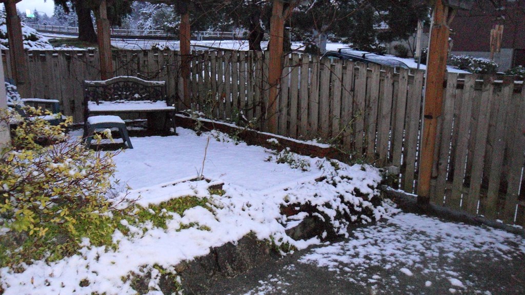 a backyard covered in snow with a bench and a fence