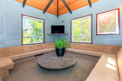 a living room with a couch and a potted plant