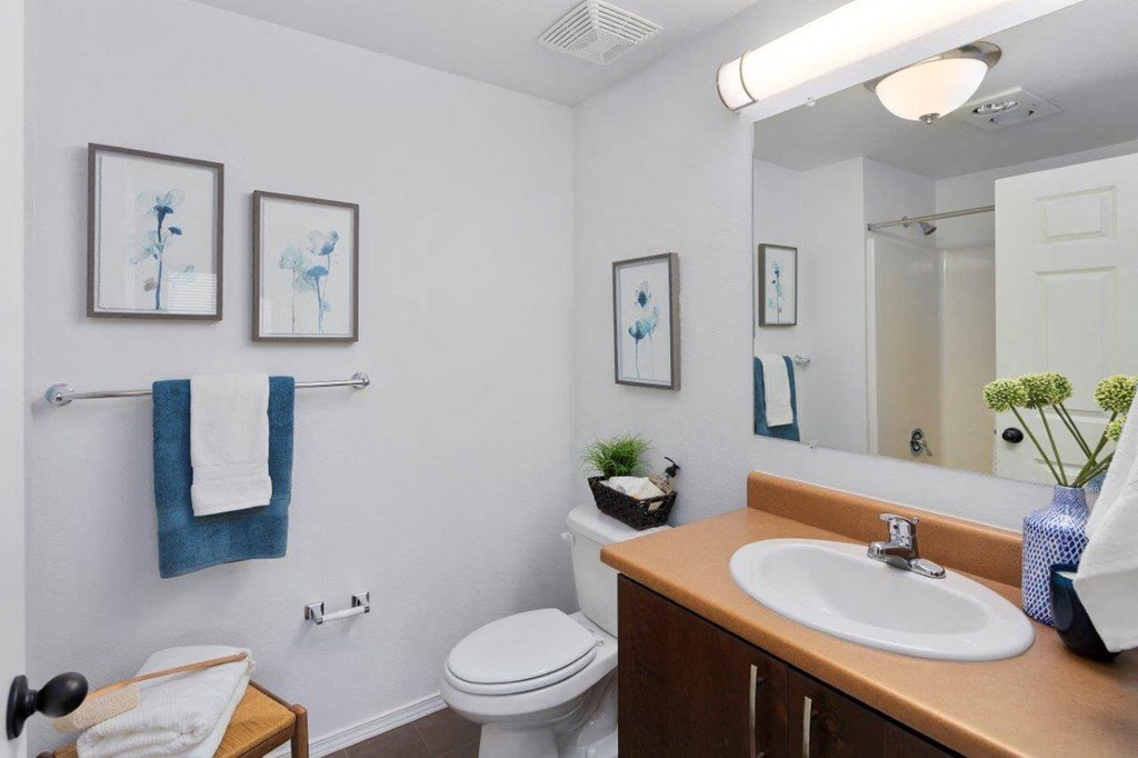 Luxurious Bathroom at Mosaic on the River Apartments, Richland, WA, 99352