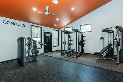 A gym with a variety of equipment including a weight bench, a leg press machine, a squat rack, and a treadmill at Crest at East Cobb Apartments, Marietta