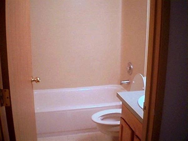 a bathroom with a toilet and a bath tub