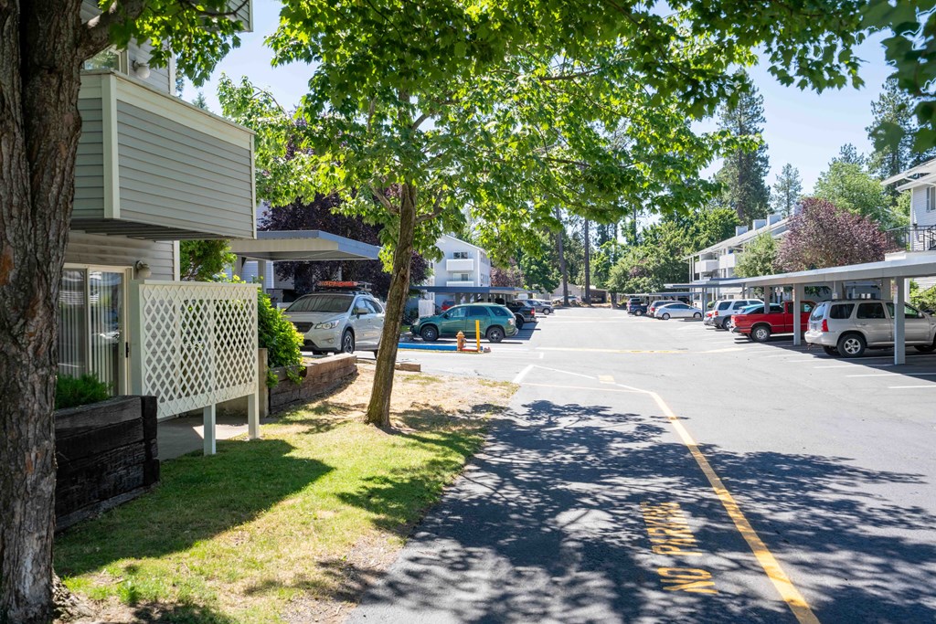a street with houses on each side and a tree in the middle of the street  at Ironwood Apartments, Coeur d'Alene