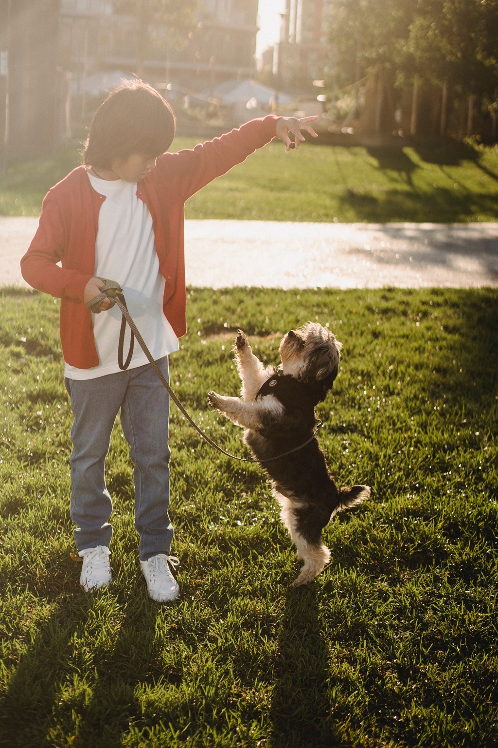 a young boy playing with a dog on a leash
