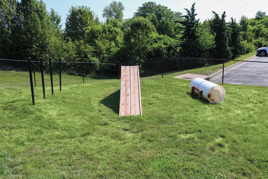 Fenced in dog park  at The Township, Kansas City, Missouri