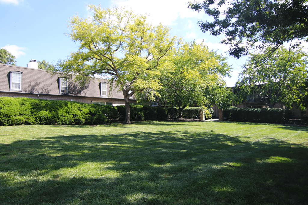 A house with a tree in front of it.