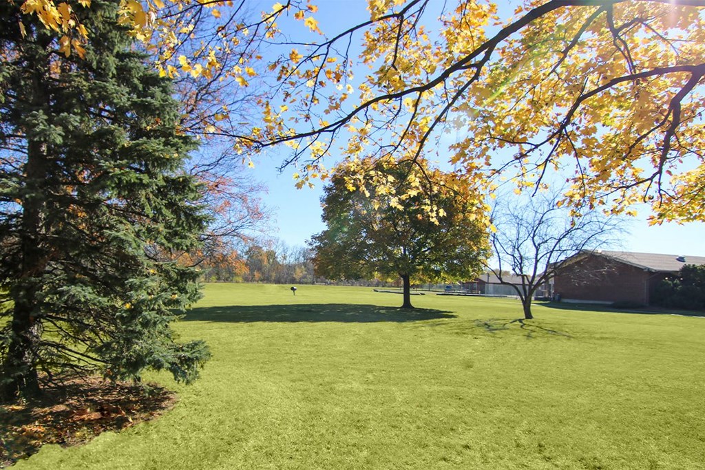 Green Spaces With Mature Trees at Lansing Riverwood, LLC, Illinois, 60438