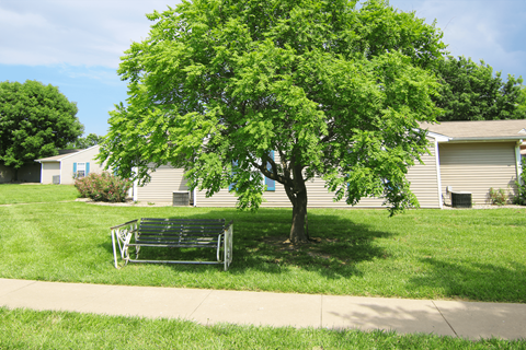 A tree in a grassy area in front of a house.