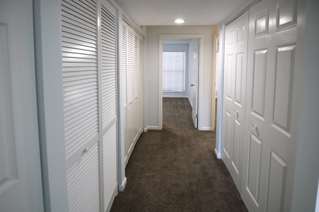 A hallway with white doors and a carpeted floor.