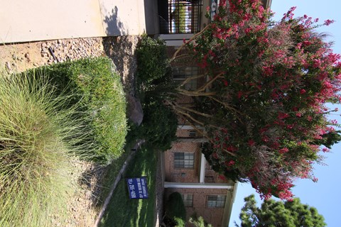 a view of the apartment from the street