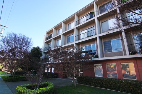 A large apartment building with balconies and trees in front.